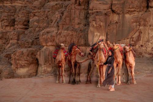 Travel jordan - Wadi rum