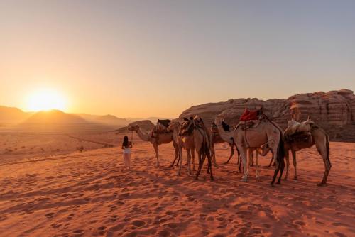 Travel jordan - Wadi rum