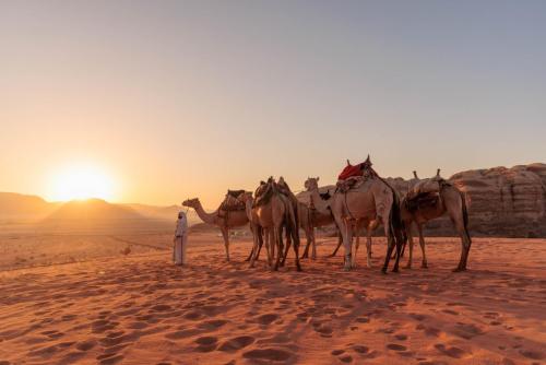 Travel jordan - Wadi rum