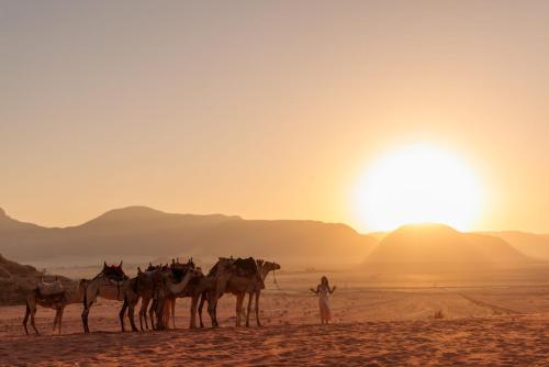 Travel jordan - Wadi rum