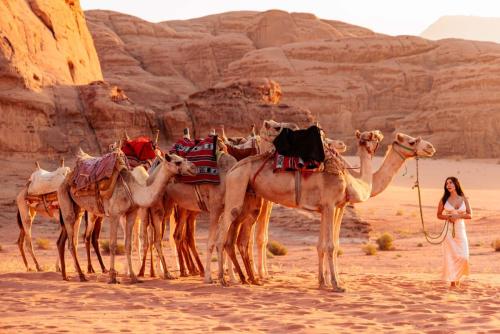 Travel jordan - Wadi rum