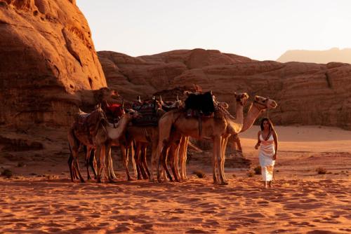 Travel jordan - Wadi rum