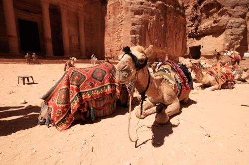 Travel jordan - Petra