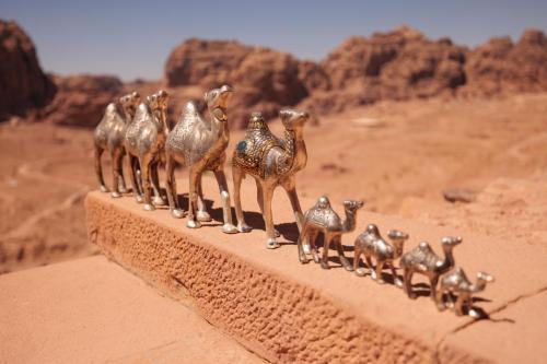 Travel jordan - Petra