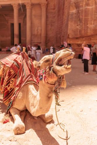Travel jordan - Petra