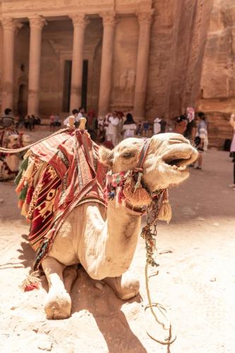 Travel jordan - Petra