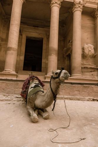 Travel jordan - Petra
