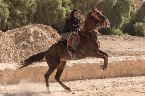 Travel jordan - Petra